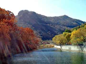 澳门二四六天天彩图库，灰鸽子免杀